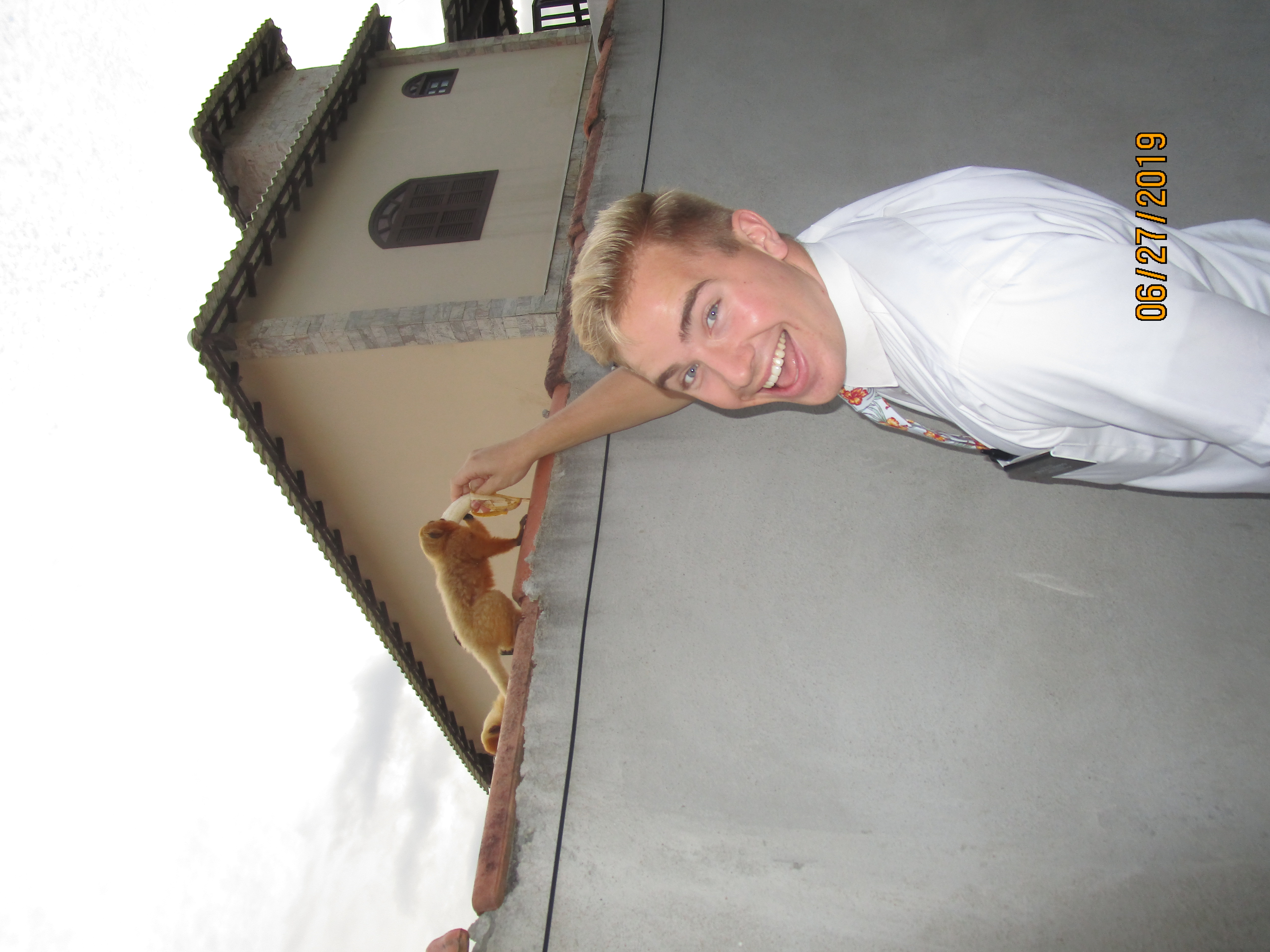 Feeding some golden lion monkeys we found in our area in Unamar